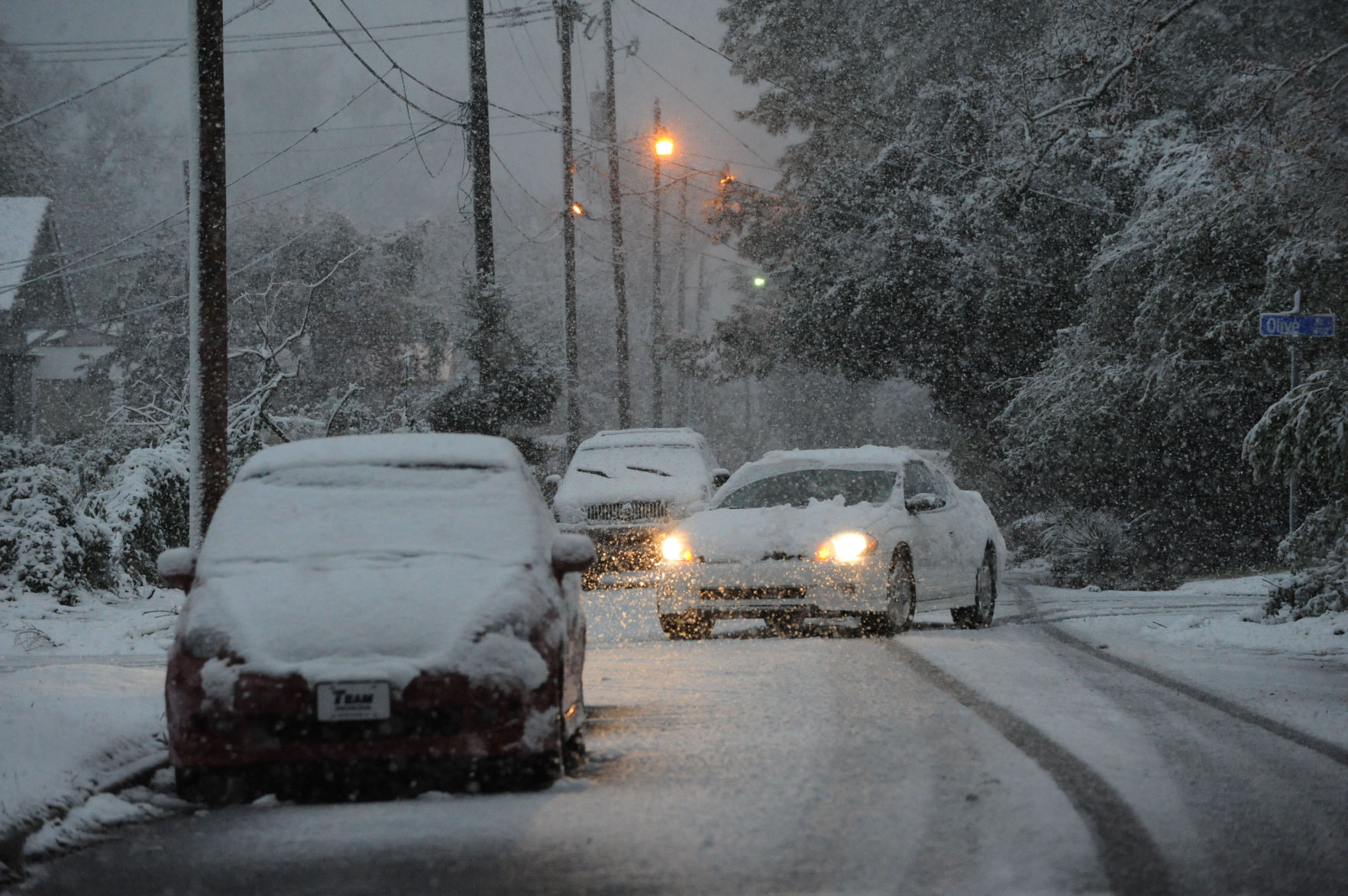 fea snow ms 42.jpg